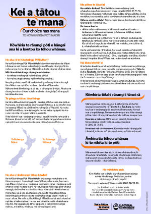 A preview image of a portrait A4 flyer about the Māori Electoral Option