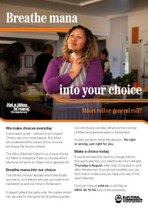 A preview of a flyer about the Māori Electoral Option in English and Te Reo Māori