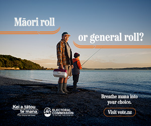A digital banner about the Māori Electoral Option, with an image of a older man and a young boy fishing on the beach, and the headline Māori roll or general roll? Breathe mana in your choice.