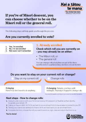 A preview image of a flowchart to help people make the choice between the Māori roll and general roll